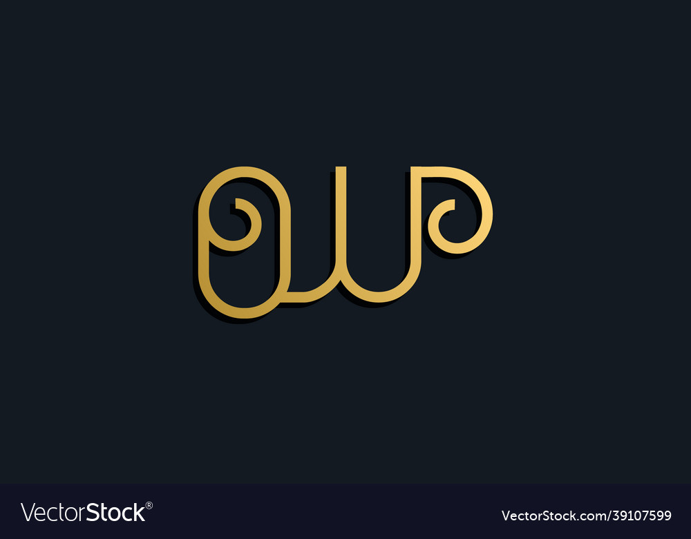 Luxury Fashion Initial Letter Ow Logo Royalty Free Vector