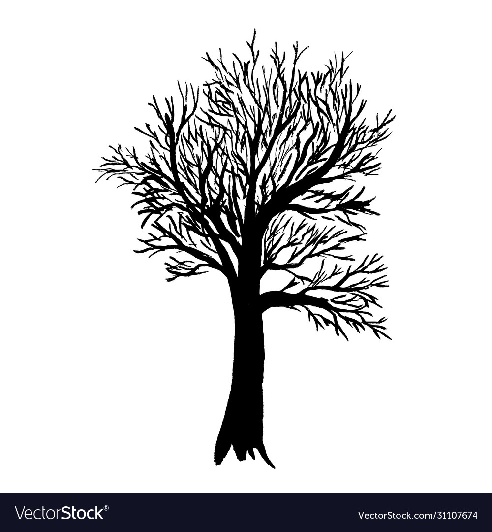 Black Naked Tree Royalty Free Vector Image VectorStock