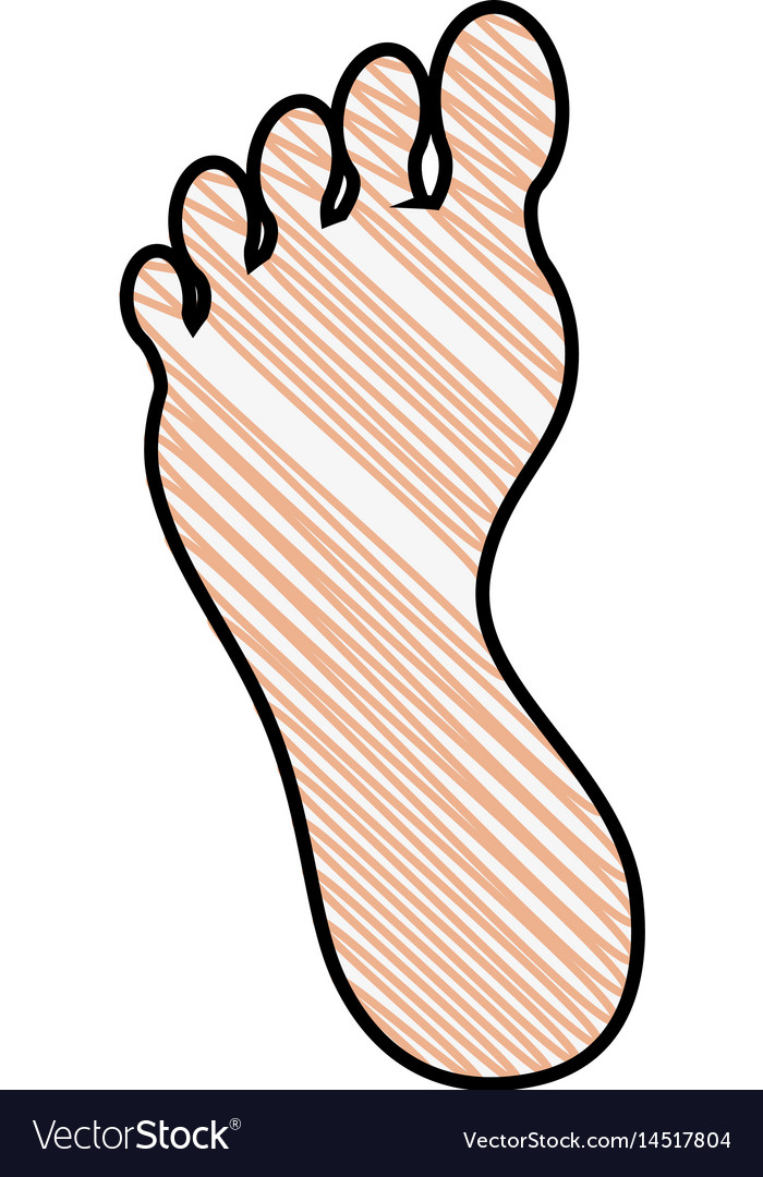 Human Foot Silhouette Royalty Free Vector Image