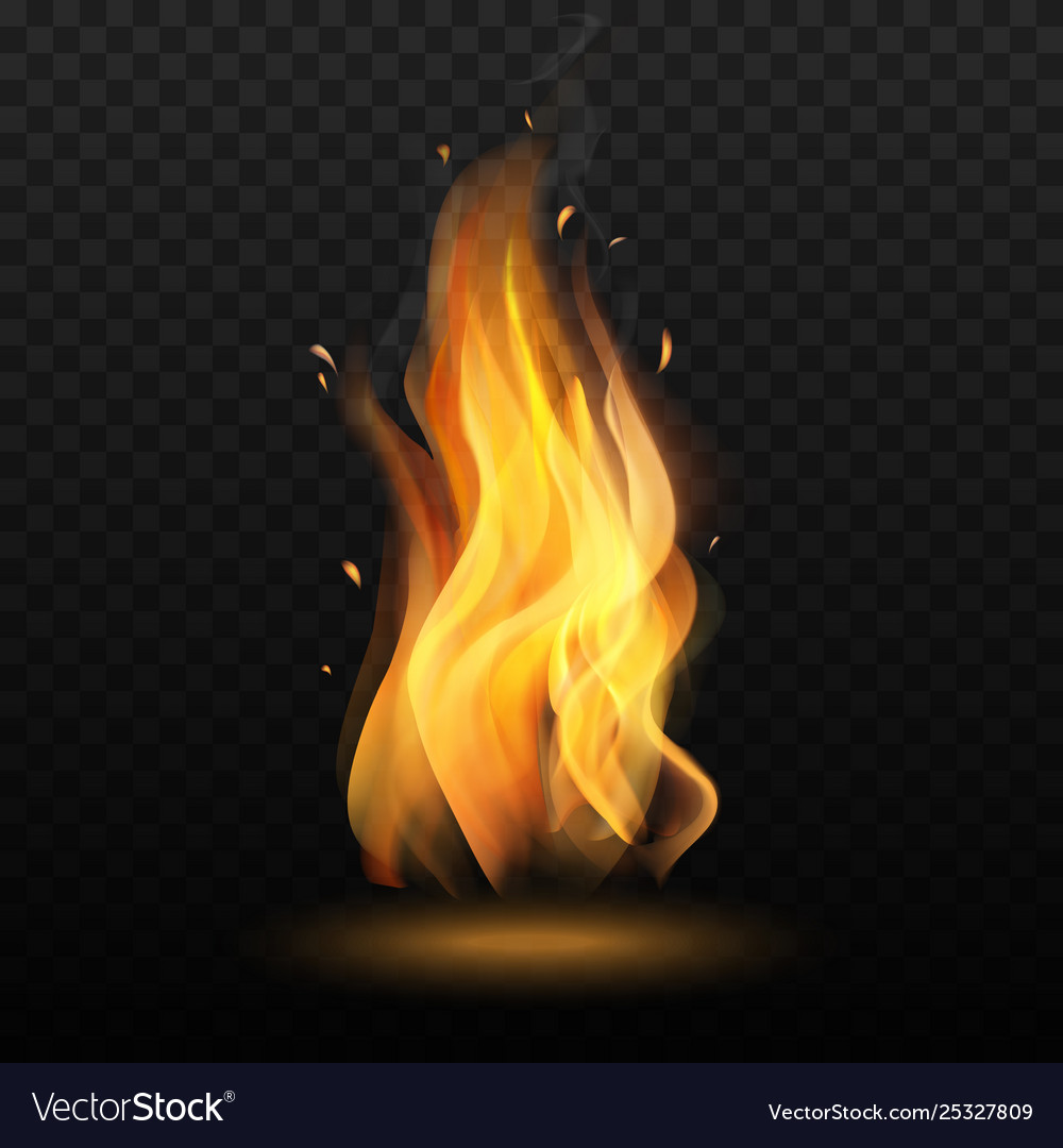 Isolated Campfire On Transparent Background Vector Image