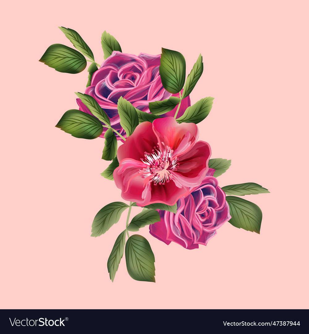 Drawing Of Gorgeous Roses Buds And Leaves Vector Image