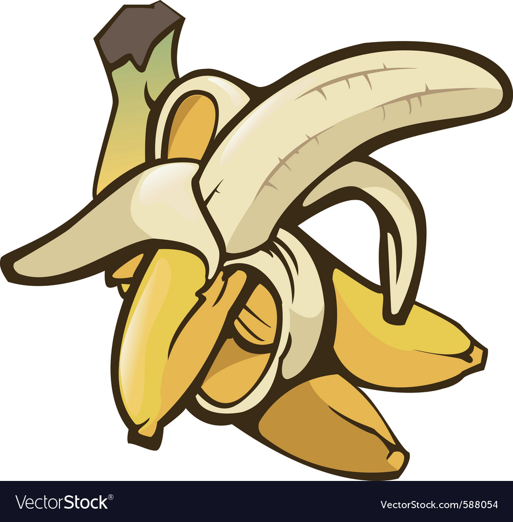 Bananas Royalty Free Vector Image Vectorstock