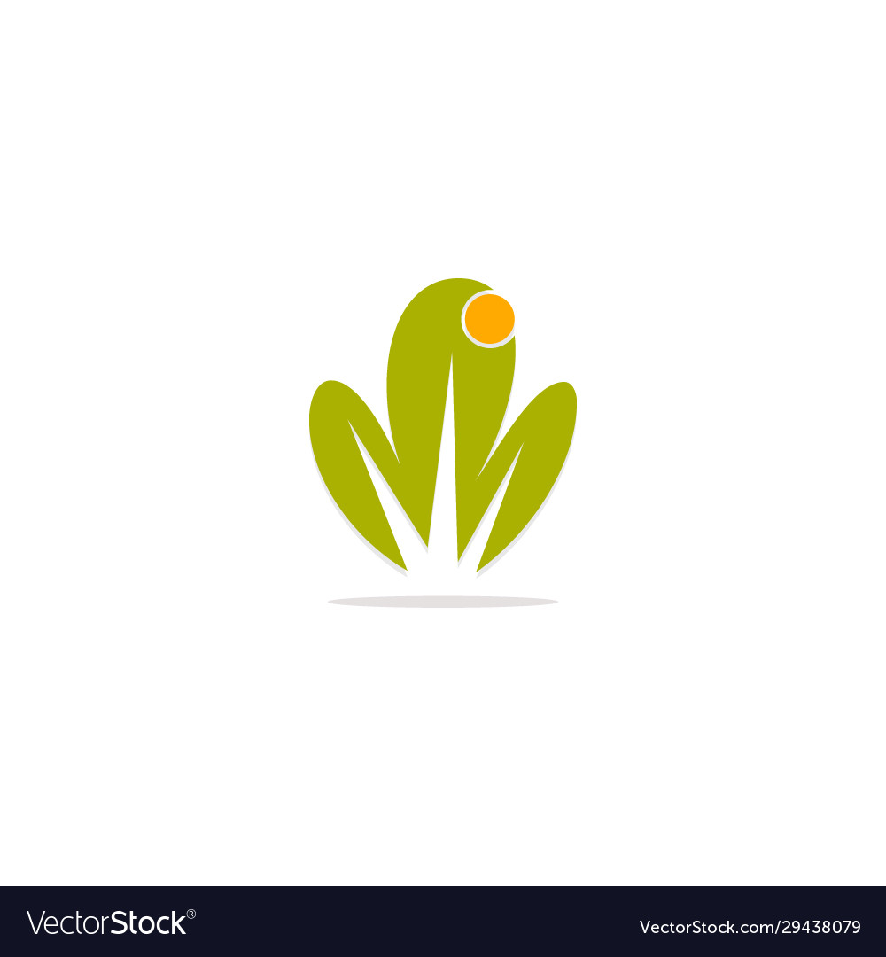 Green Leaf Organic Logo Royalty Free Vector Image