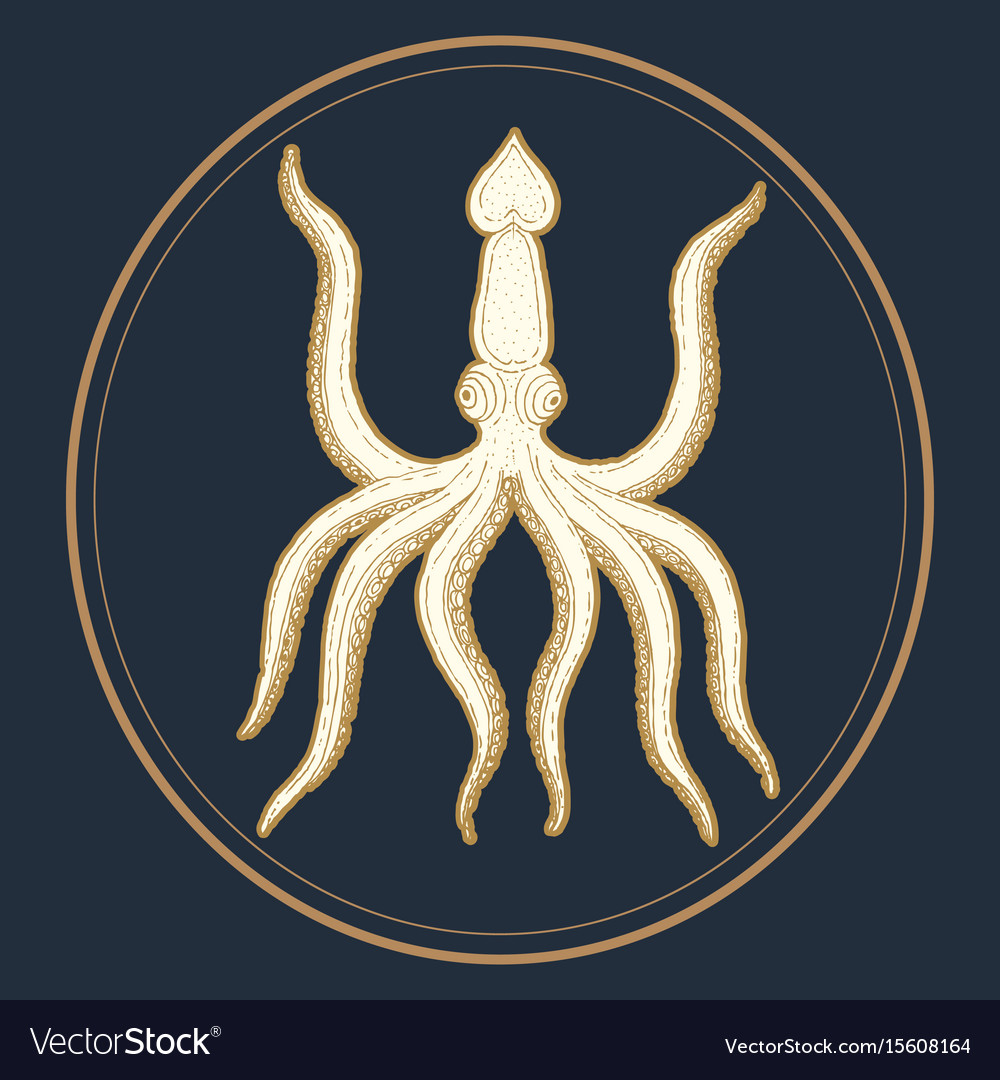 Hand Drawn Octopus Royalty Free Vector Image VectorStock