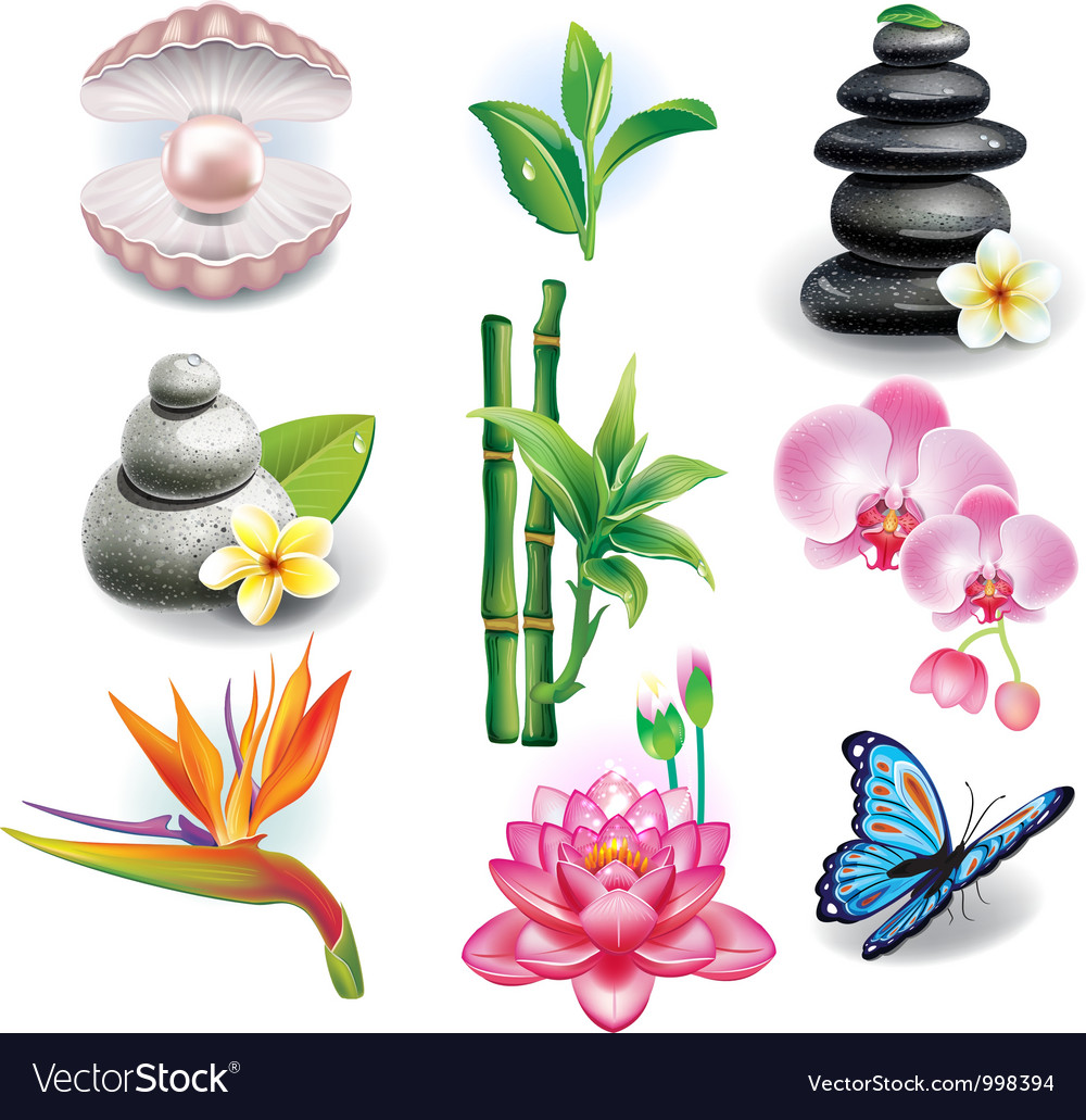 Set Of Spa Symbols Royalty Free Vector Image Vectorstock