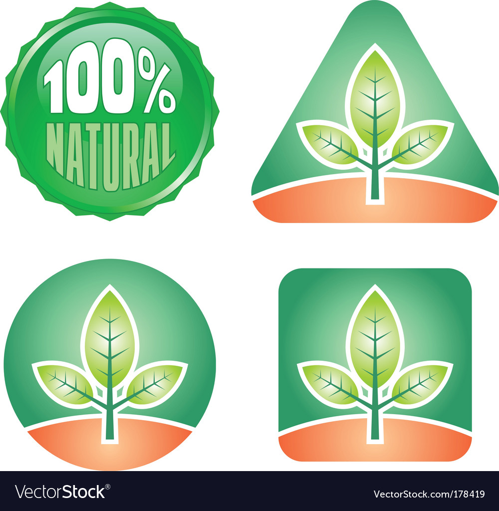 Eco Labels Royalty Free Vector Image Vectorstock