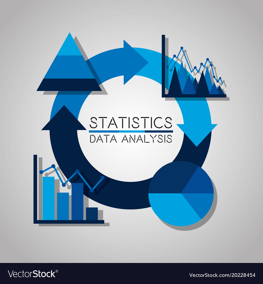 Statistics Data Analysis Business Pie Chart Vector Image