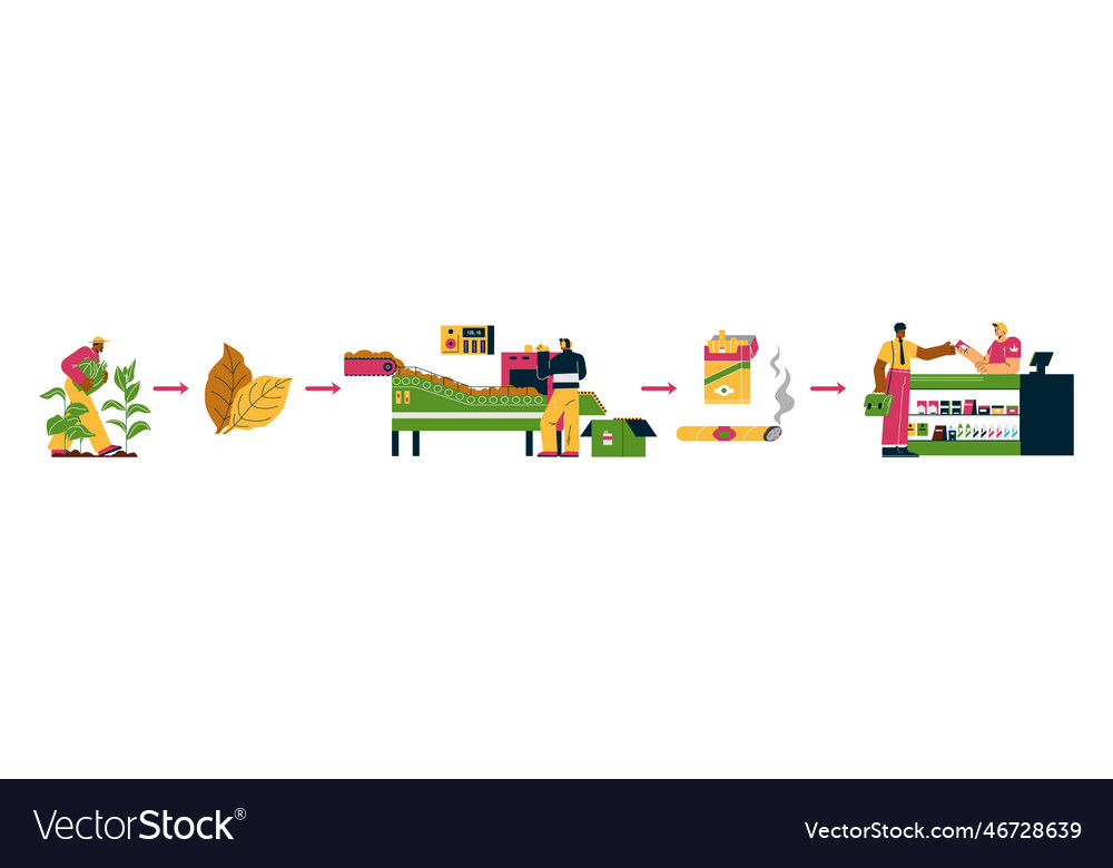 Tobacco Products Manufacturing Process Flat Vector Image