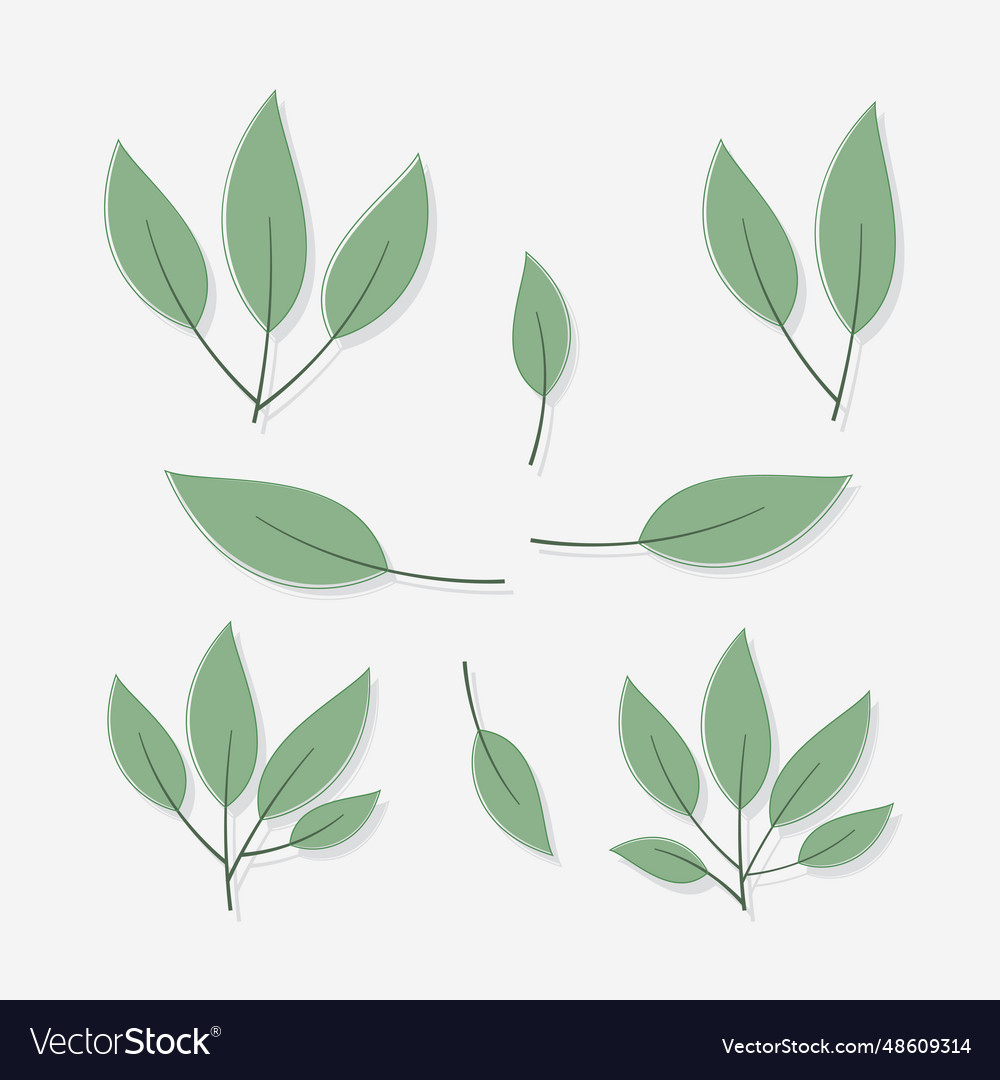 Green Leaves Icon Set Isolated Royalty Free Vector Image