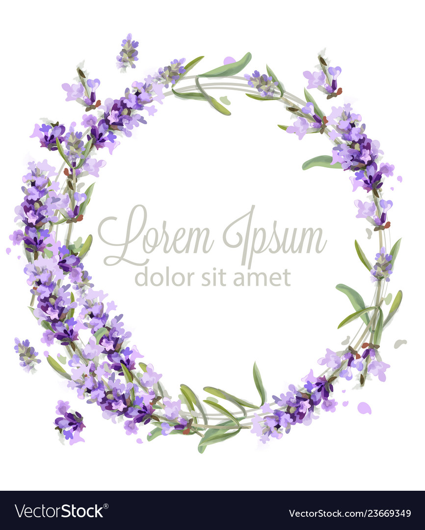 Lavender Wreath Card Watercolor Flowers Royalty Free Vector