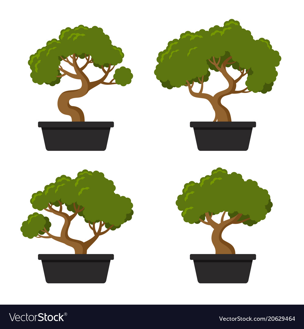 Bonsai Tree Icon Set Royalty Free Vector Image