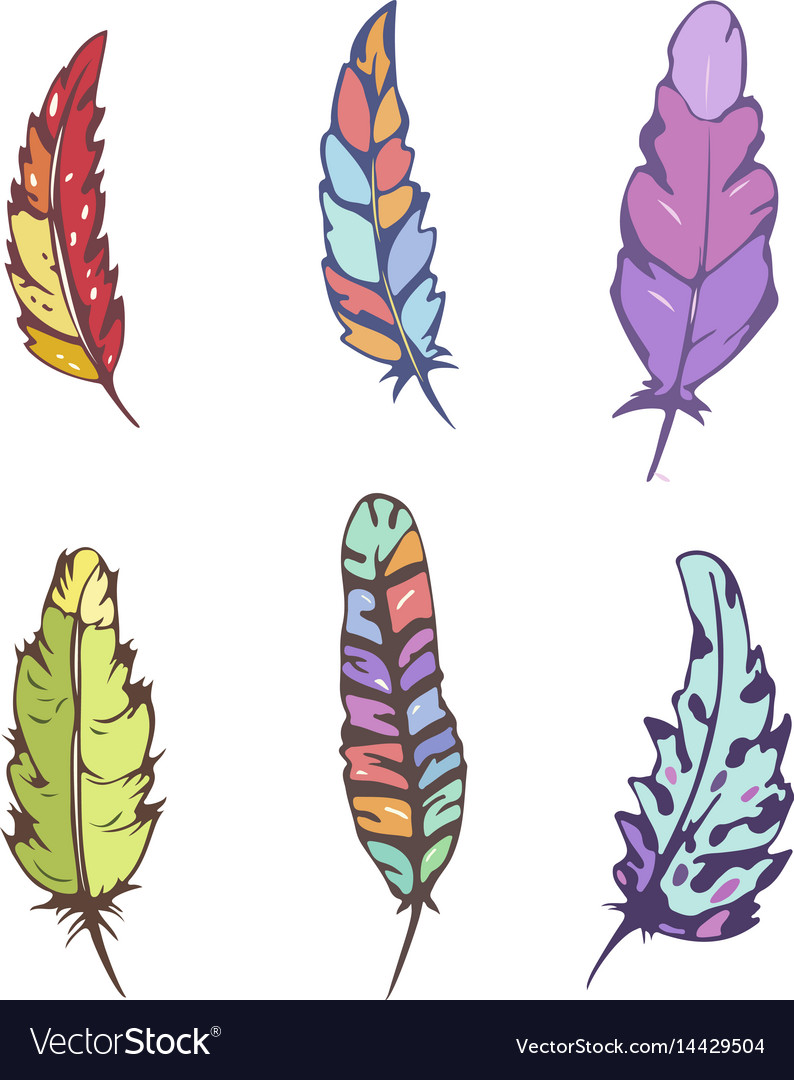 Decorative Feather Set Royalty Free Vector Image