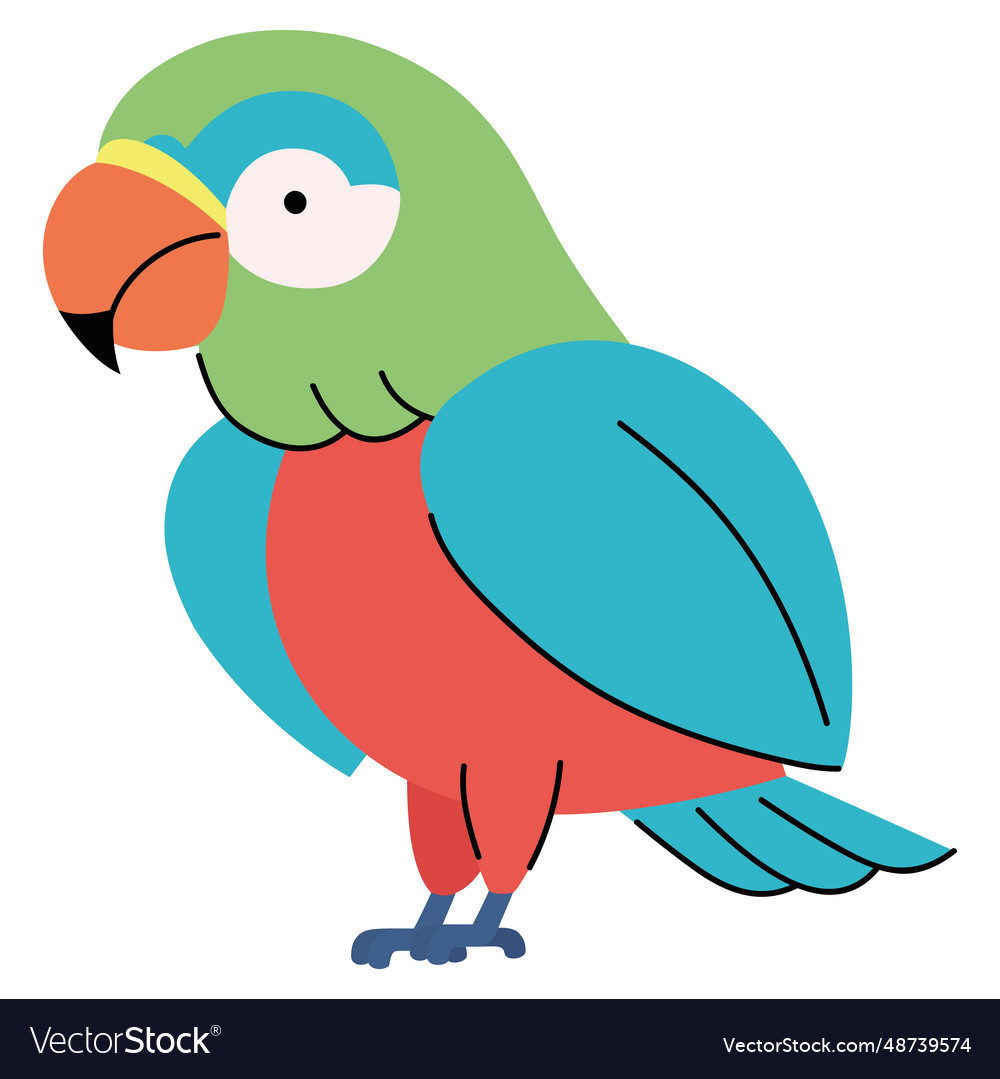 Multi Color Parrot Royalty Free Vector Image Vectorstock