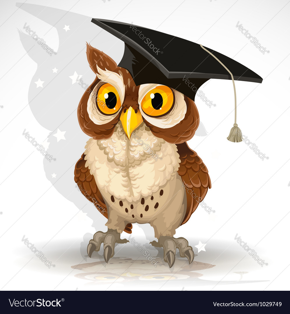 Wise Owl Royalty Free Vector Image VectorStock