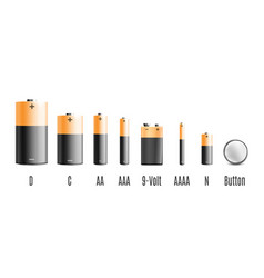 Alkaline Battery Different Sizes Icons Set Vector Image