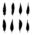 Feather Set Royalty Free Vector Image VectorStock