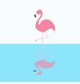 Pink Flamingo Standing On One Leg Two Palms Tree Vector Image