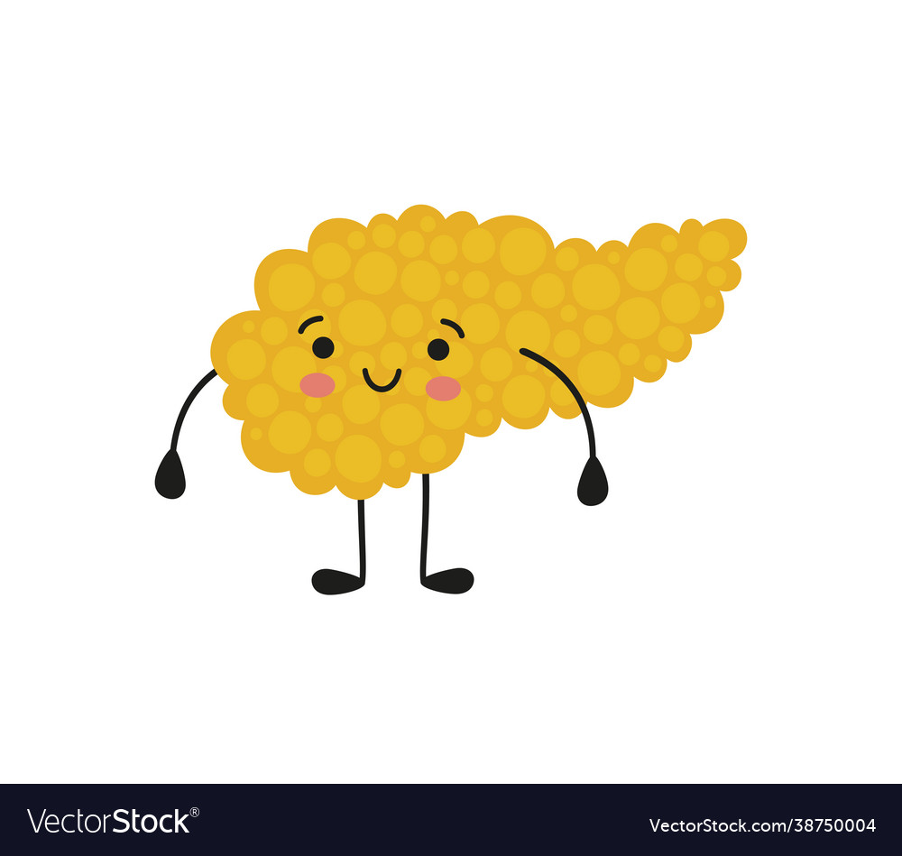 Pancreas Kawaii Healthy Character With Smile Vector Image