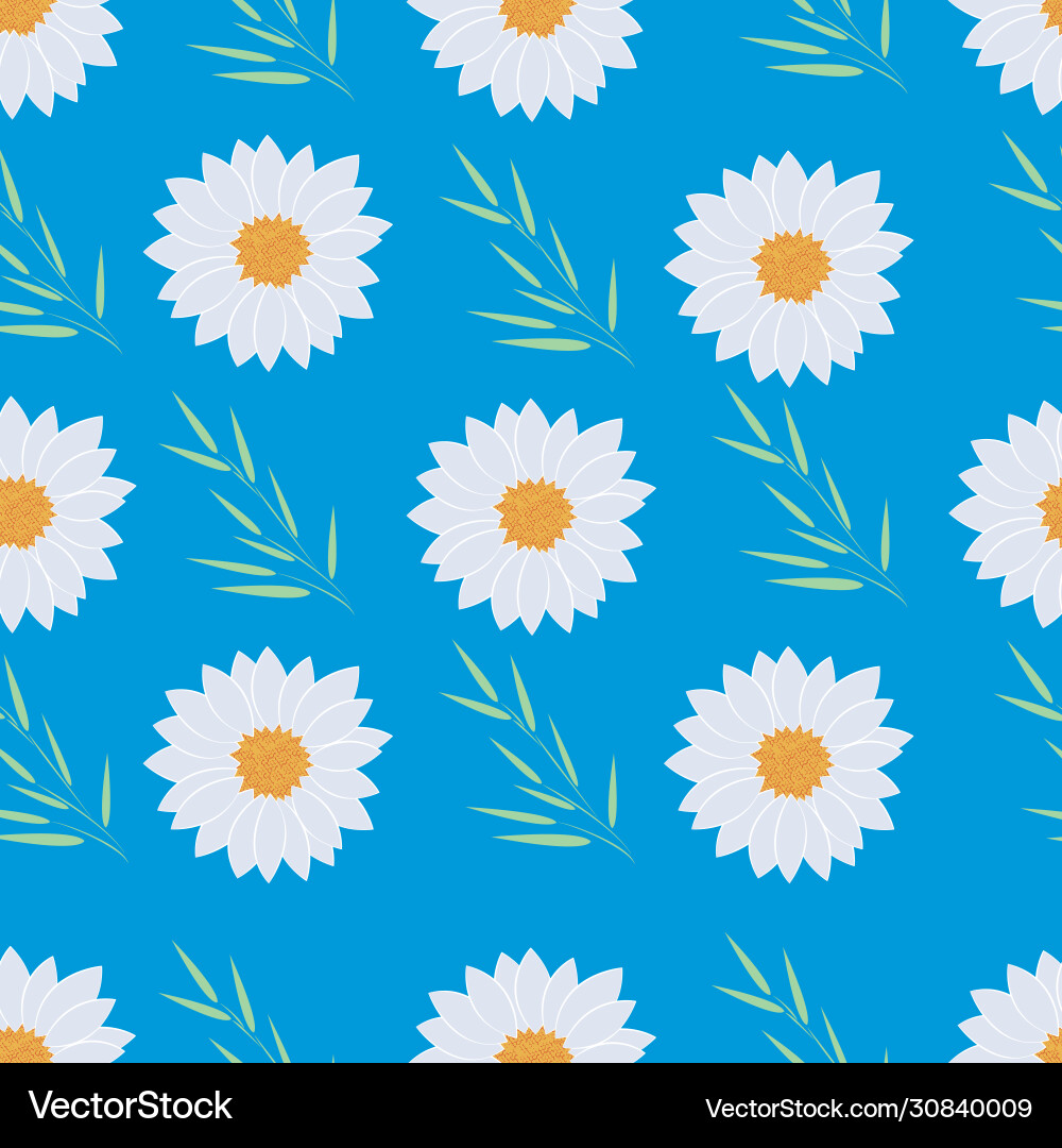 Seamless pattern with chamomile on blue background