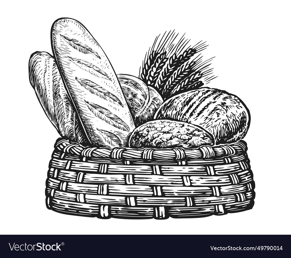 Breads And Wheat Sketch Fresh Baked Goods Vector Image