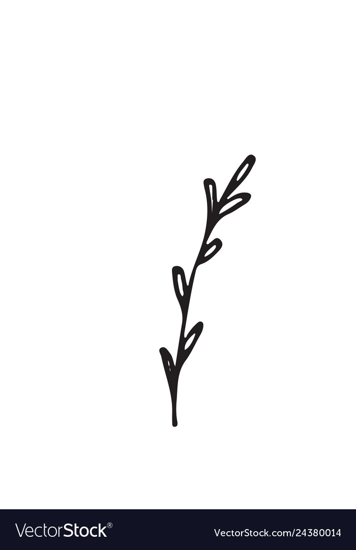 Hand-drawn sketch of a plant isolated on white Vector Image