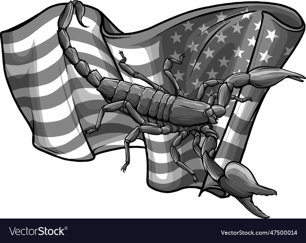 Monochromatic scorpion with american flag Vector Image