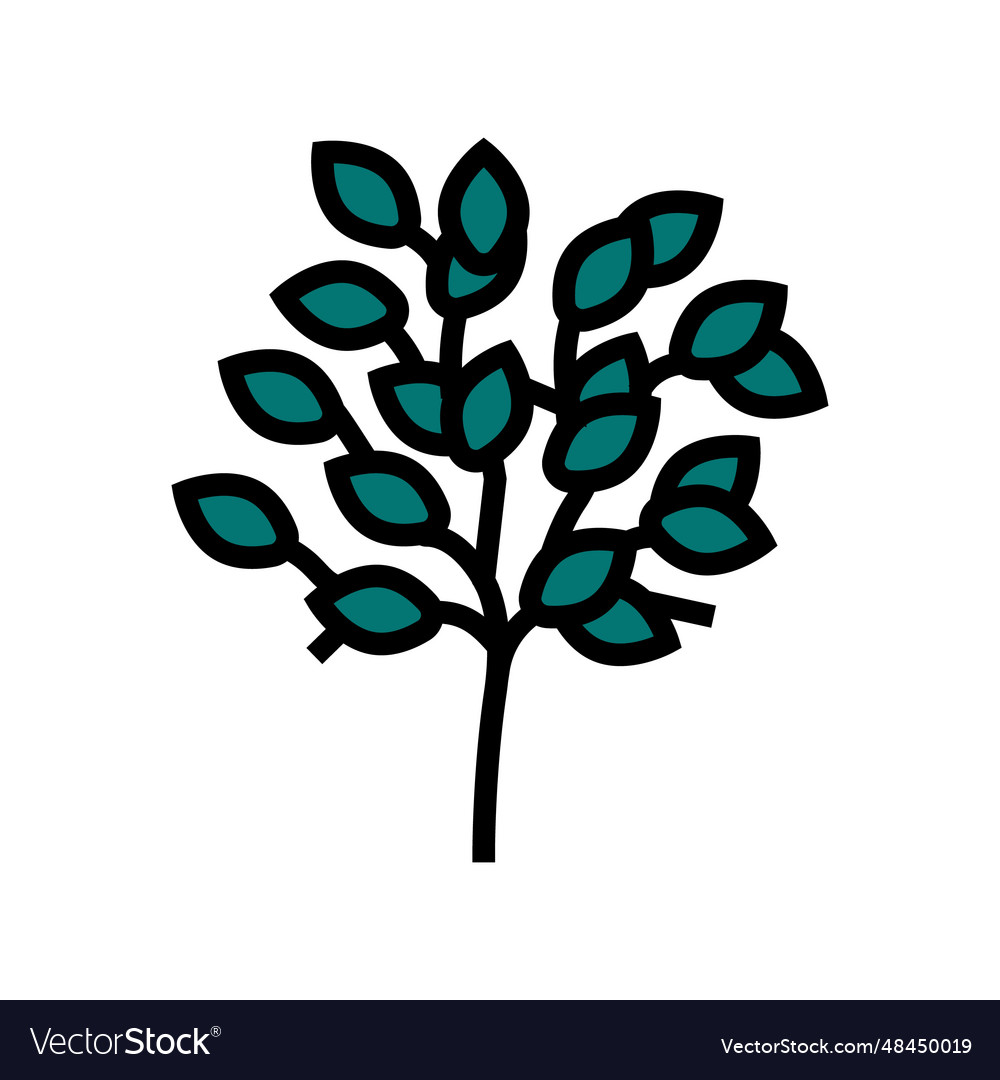 Sakaki tree branch shintoism color icon Royalty Free Vector