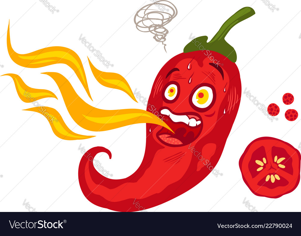 Chilli pepper with flame Royalty Free Vector Image