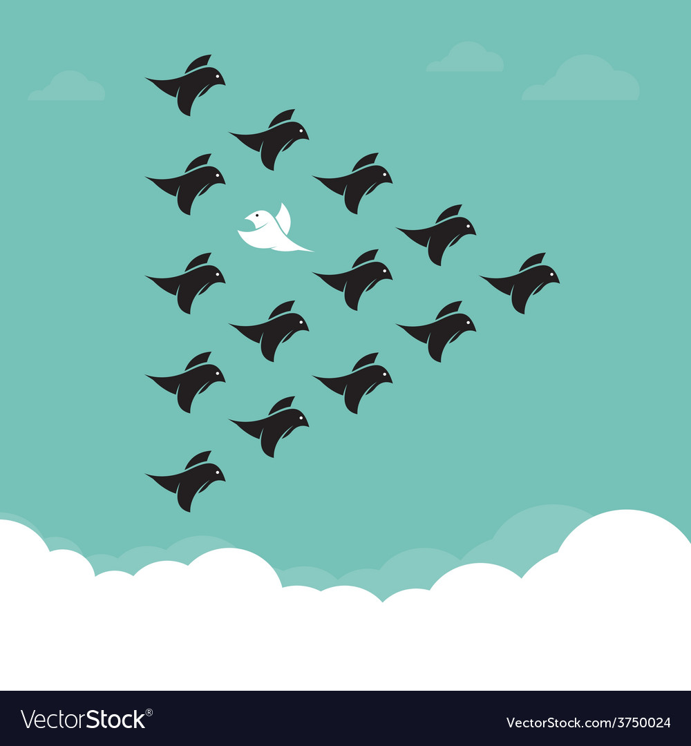 flock of birds flying