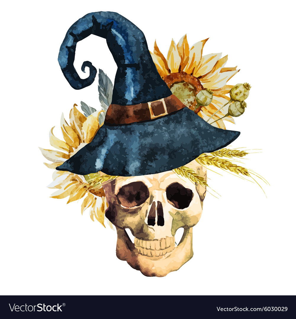 Watercolor halloween skull Royalty Free Vector Image