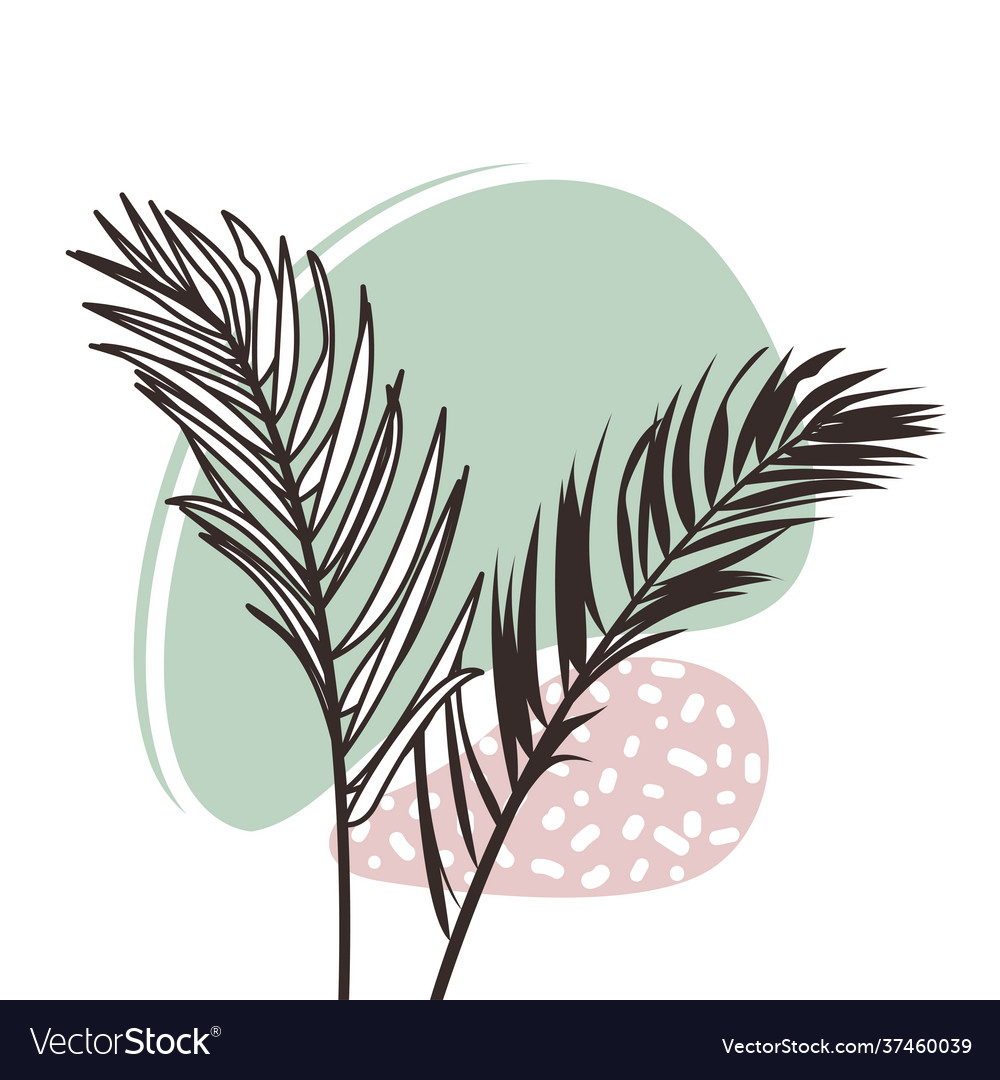 Abstract organic shapes with tropical plants vector image Abstract organic shapes with tropical plants