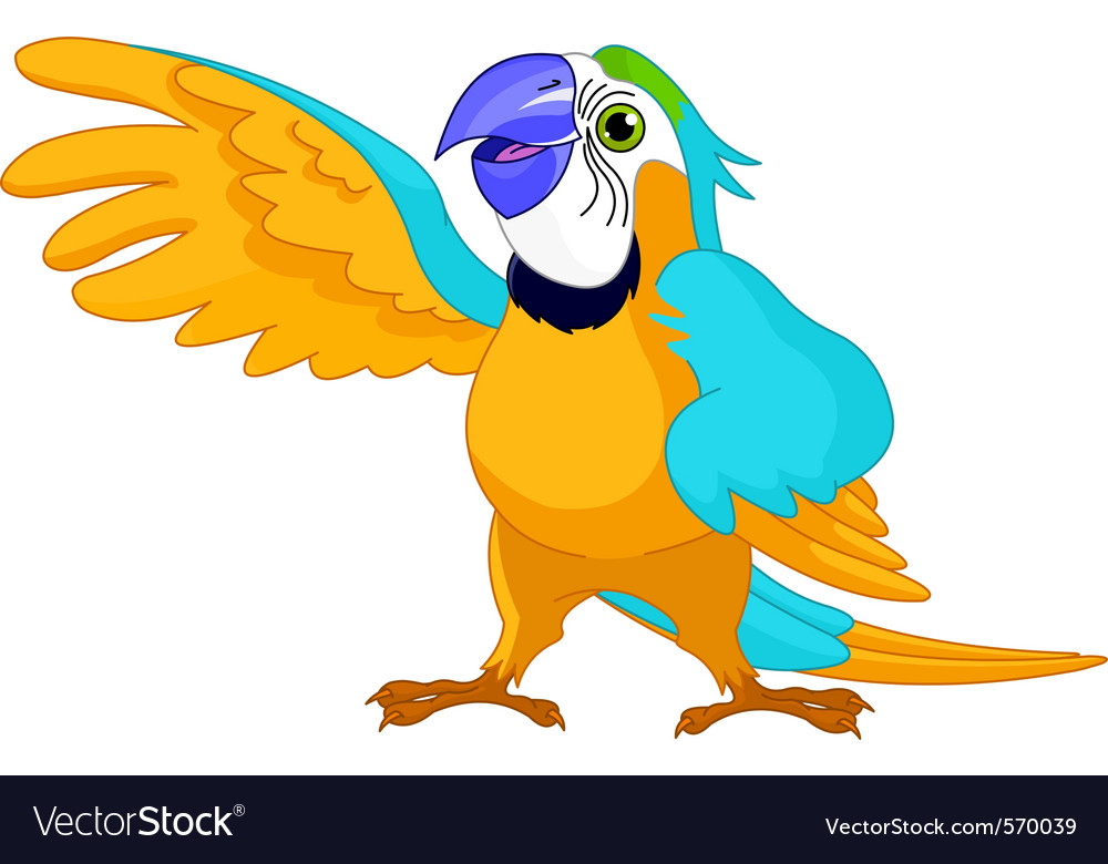 Download Cartoon parrot Royalty Free Vector Image - VectorStock