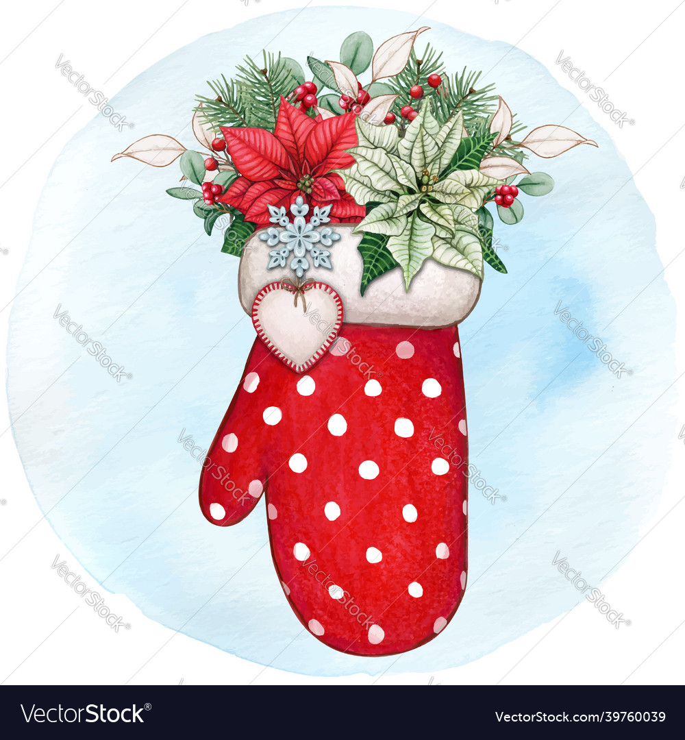 Watercolor hand drawn mitten with poinsettia vector image Watercolor hand drawn mitten with poinsettia