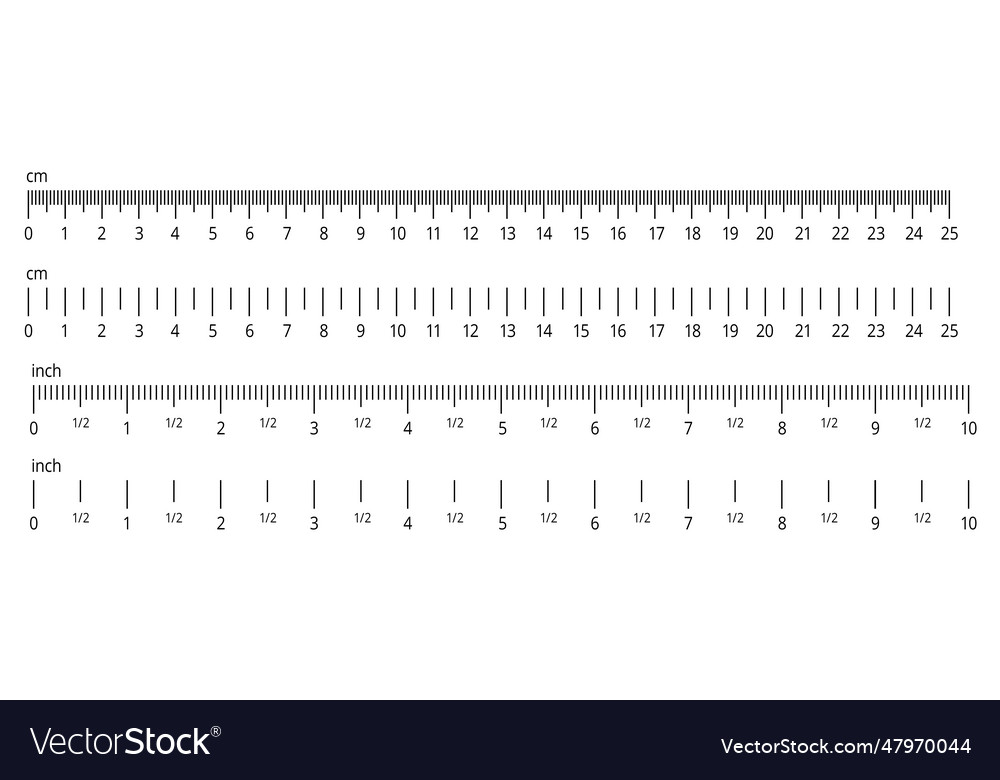 Inch and metric rulers centimeters inches Vector Image