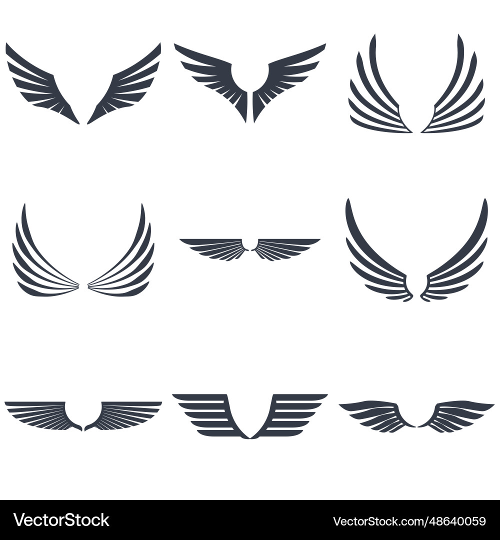 Set of two sided wings Royalty Free Vector Image