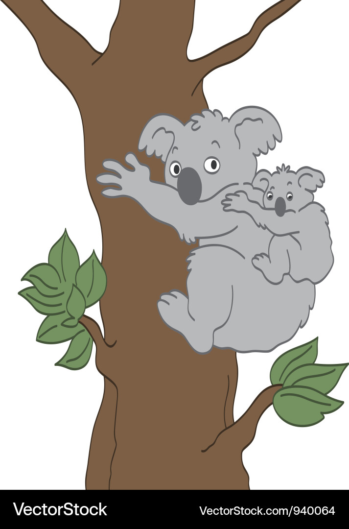 Koala Bears Royalty Free Vector Image - VectorStock