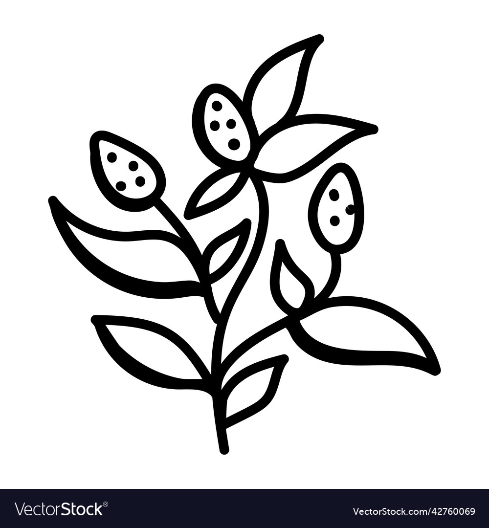 Plantation Royalty Free Vector Image - VectorStock