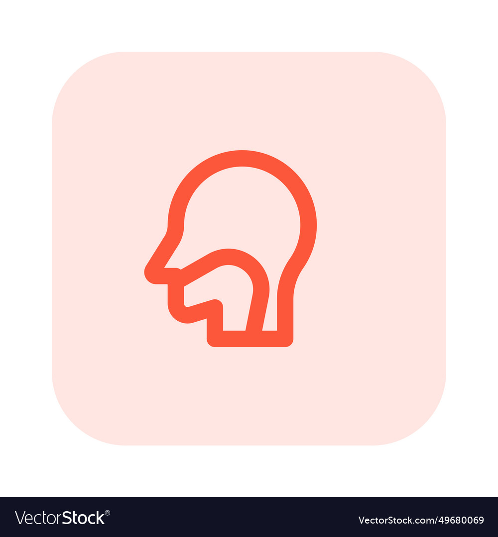 Throat is the front part of neck positioned vector image