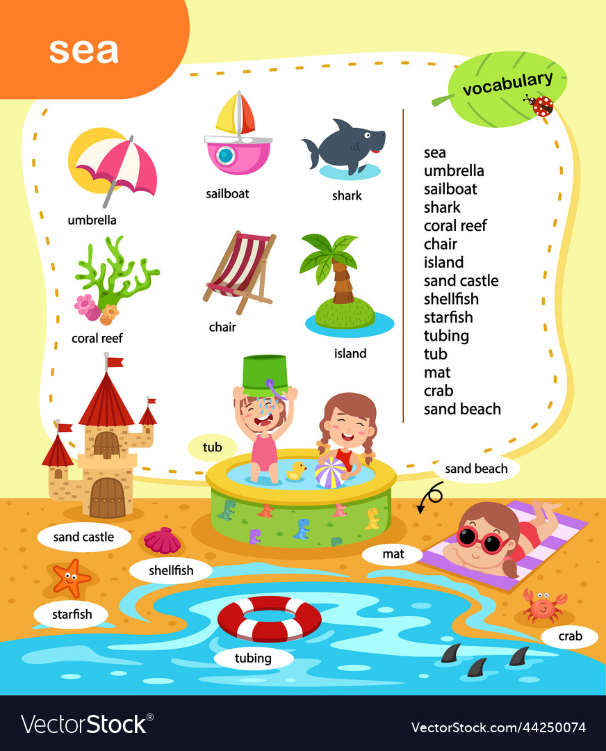 Education Vocabulary Sea Royalty Free Vector Image