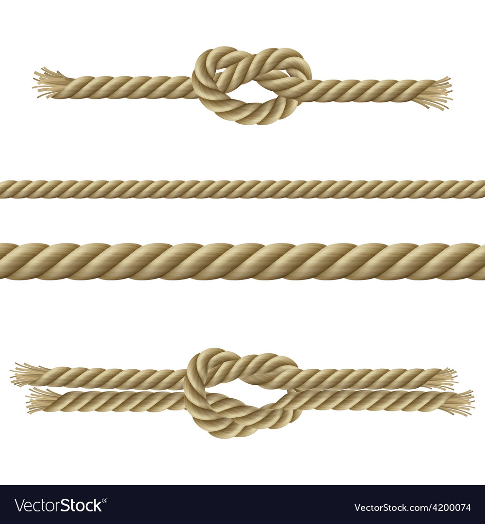 Ropes decorative set Royalty Free Vector Image