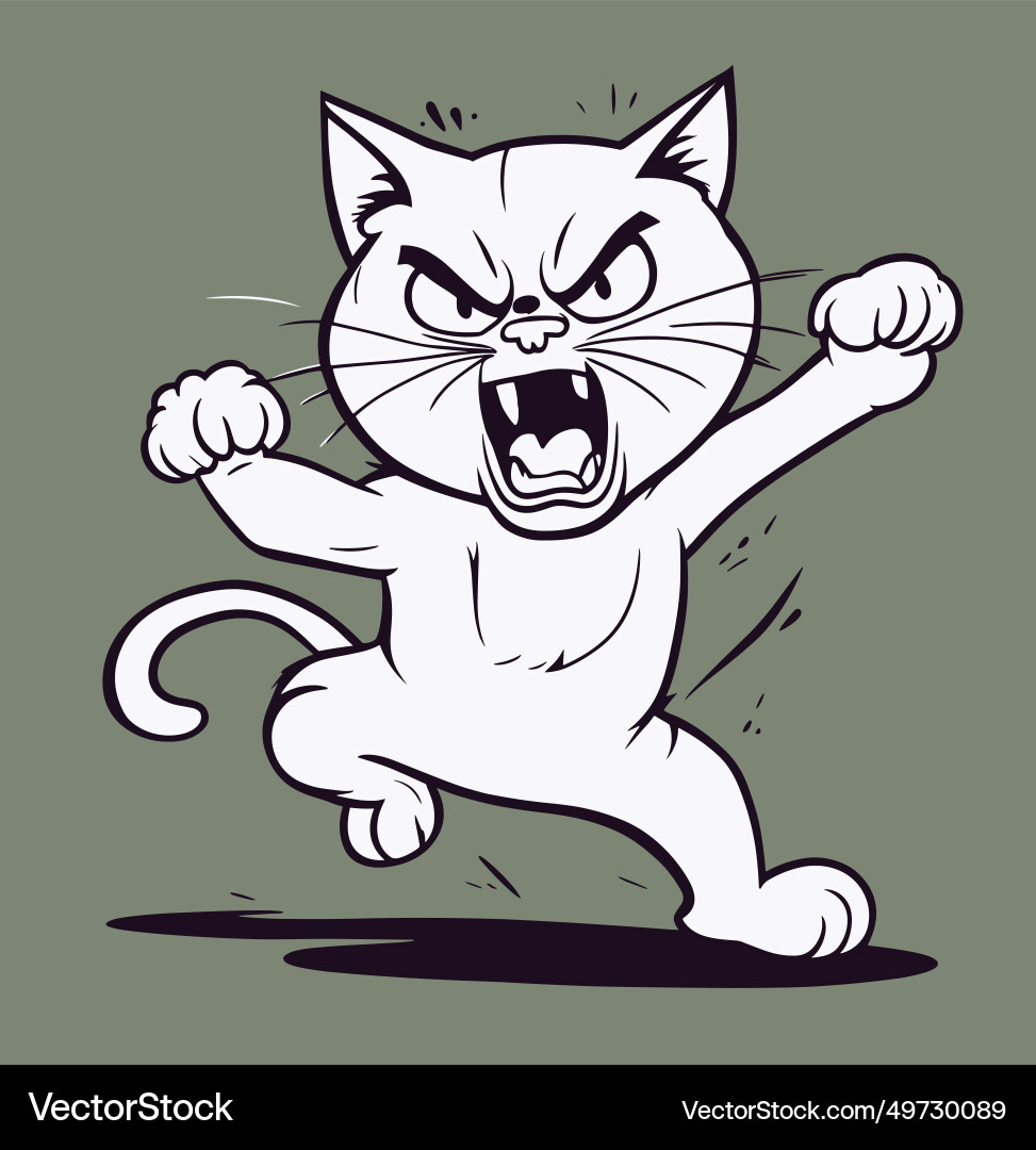 A cat angry Royalty Free Vector Image - VectorStock