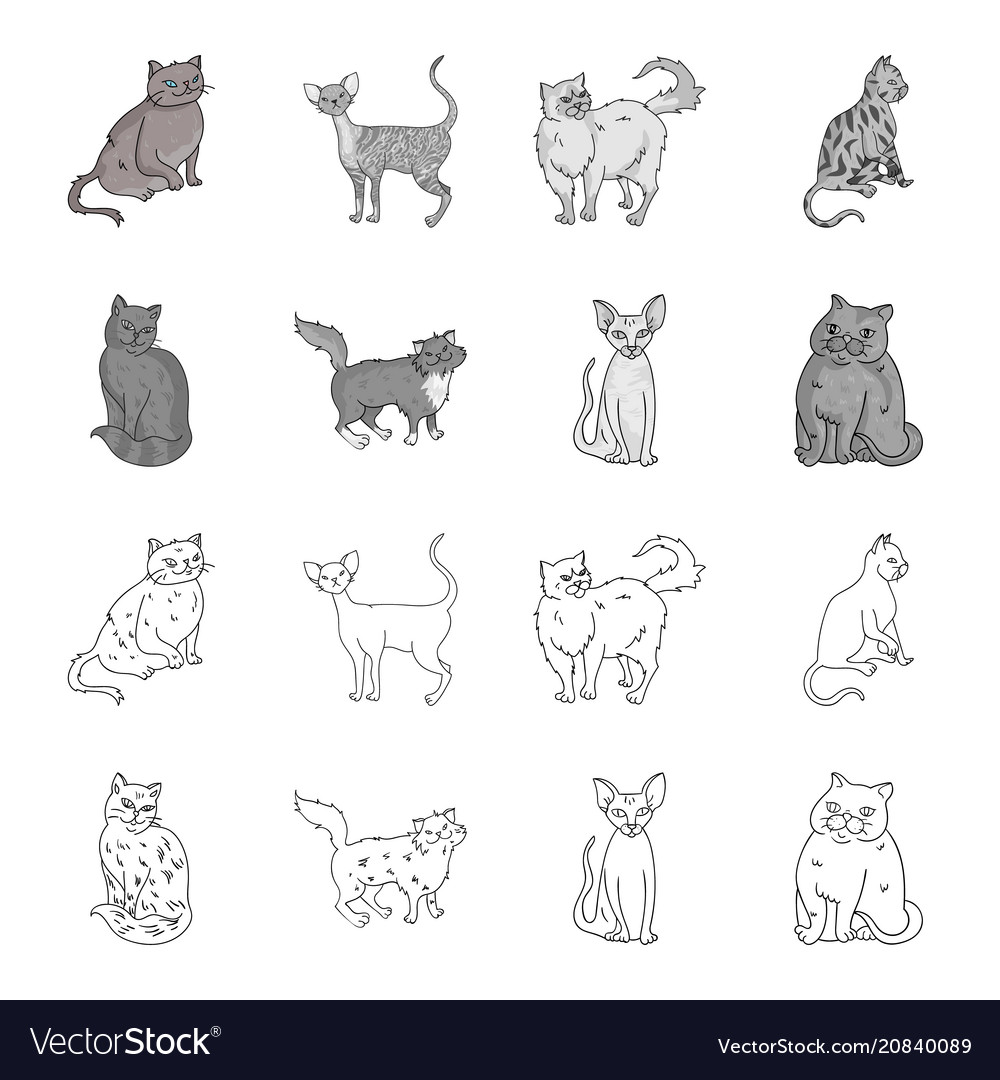 Sphinx nibelungnorwegian forest cat and other Vector Image