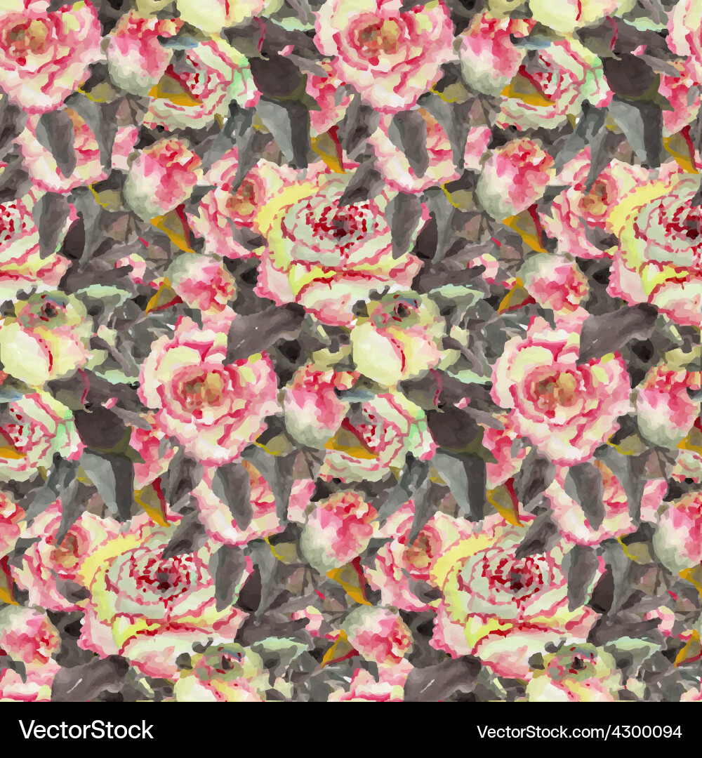 Vector Ranunculus Ranunculus Royalty Free Vector Image - VectorStock