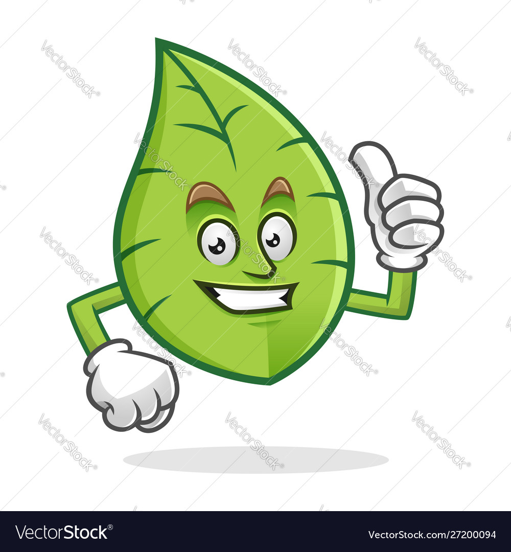 Thumb up smile leaf mascot leaves character leaf Vector Image