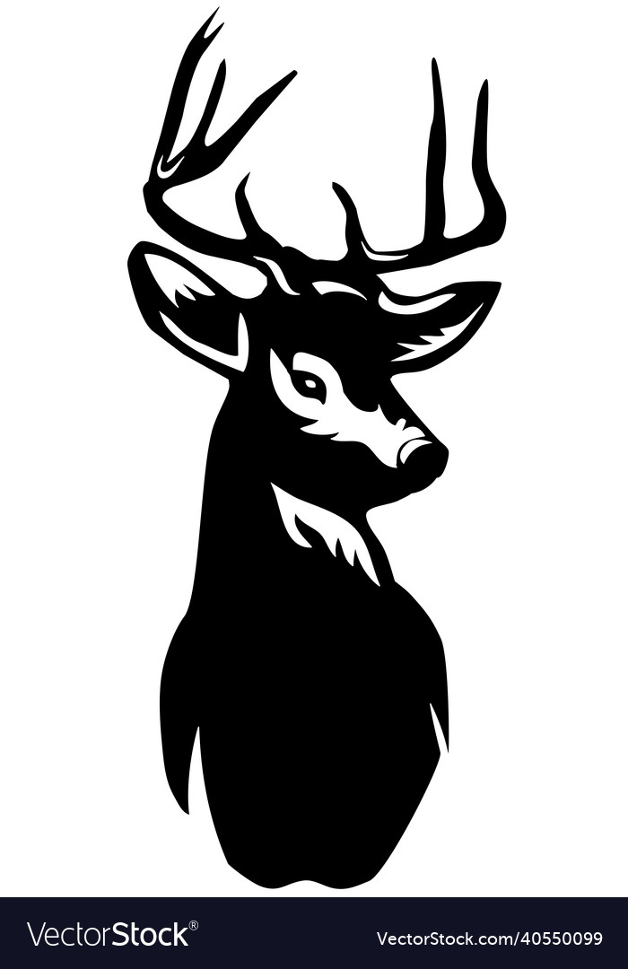 Deer Head Royalty Free Vector Image VectorStock   Deer Head Vector 40550099 