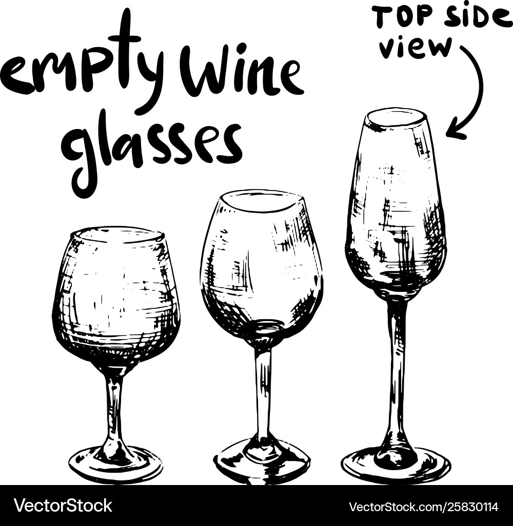 Different empty wine glasses Royalty Free Vector Image