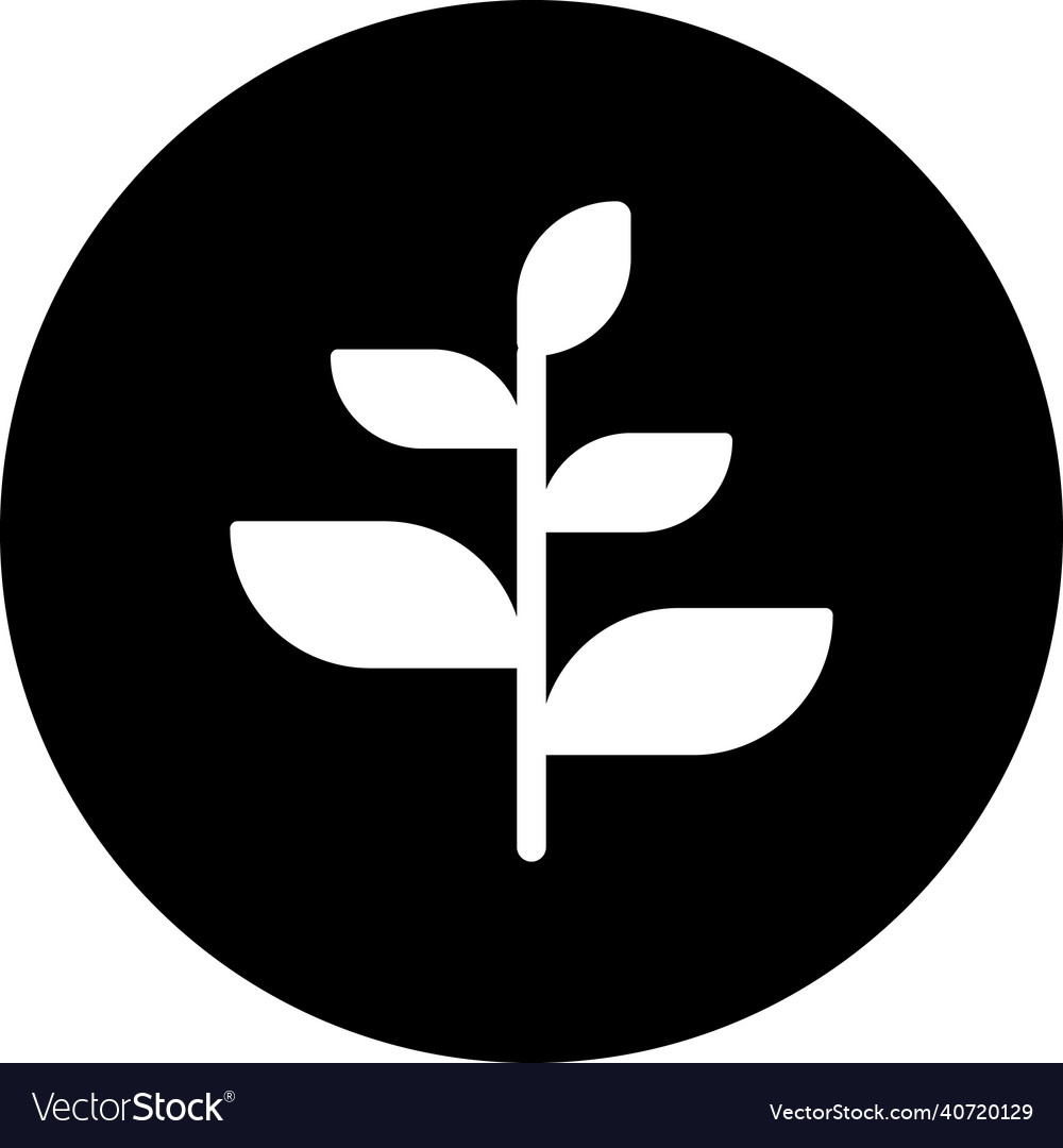 Sprout plant branch Royalty Free Vector Image - VectorStock