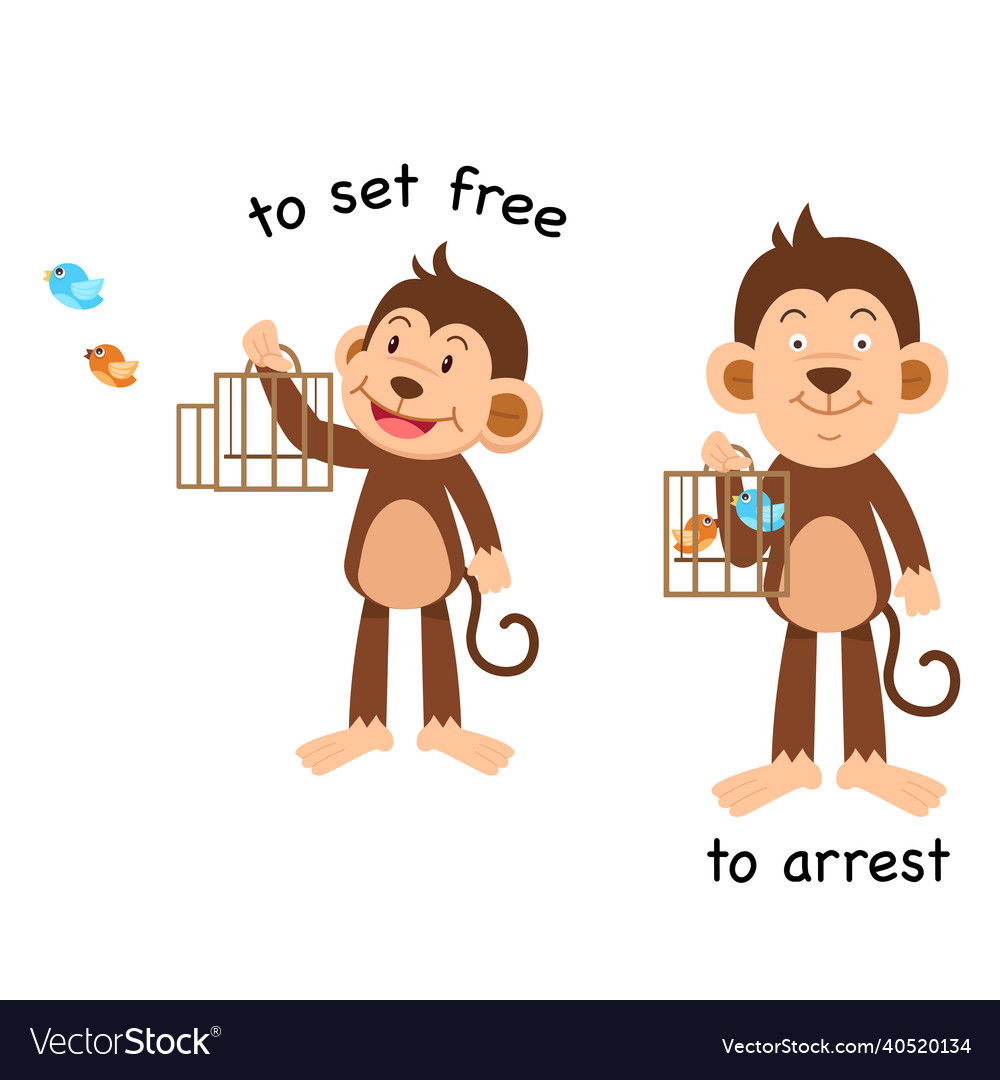 free svg icon free svg icon