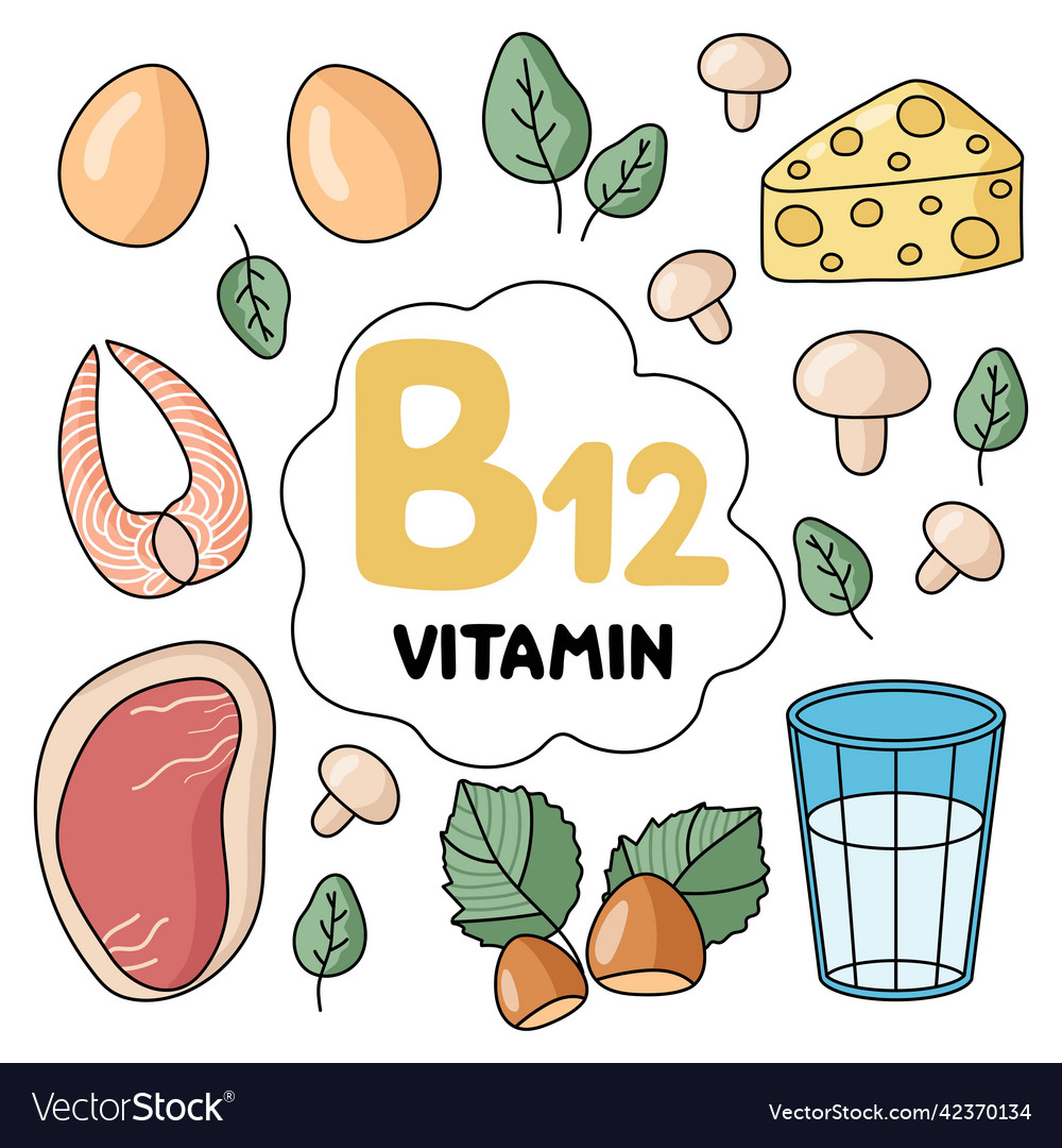 Vitamin B 12 Products Royalty Free Vector Image