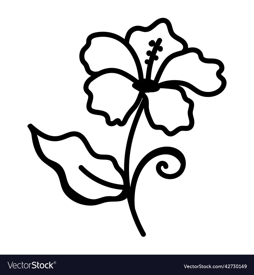Hibiscus flower Royalty Free Vector Image - VectorStock